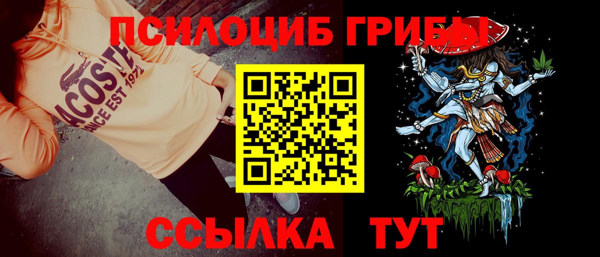 Елизово  Галлюциногенные грибы MAGIC MUSHROOMS  Вход с VPN 